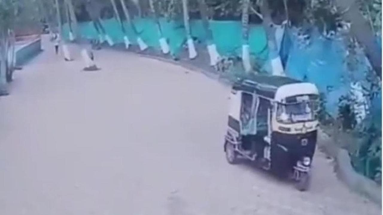 in a viral video man tree falls on auto rickshaw but driver comes out safely