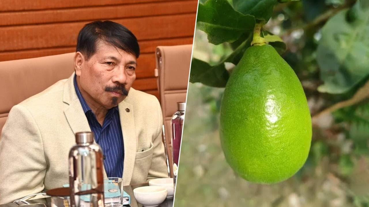 GI-tagged Assam Lemon Kaji Nemu Granted State Fruit Status