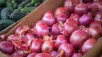 lifting ban on onion