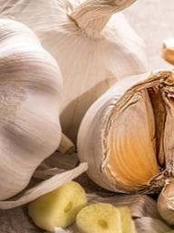 garlic prices