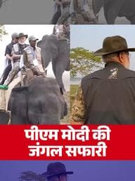 PM Modi in Kaziranga National Park