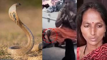mahoba cobra wrapped woman leg three hours